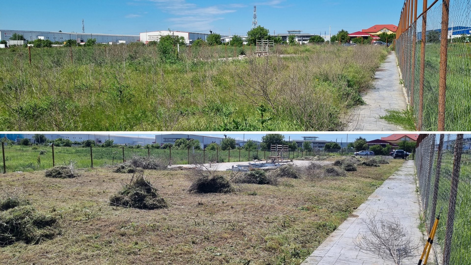 Emil Popescu Olteni before and after